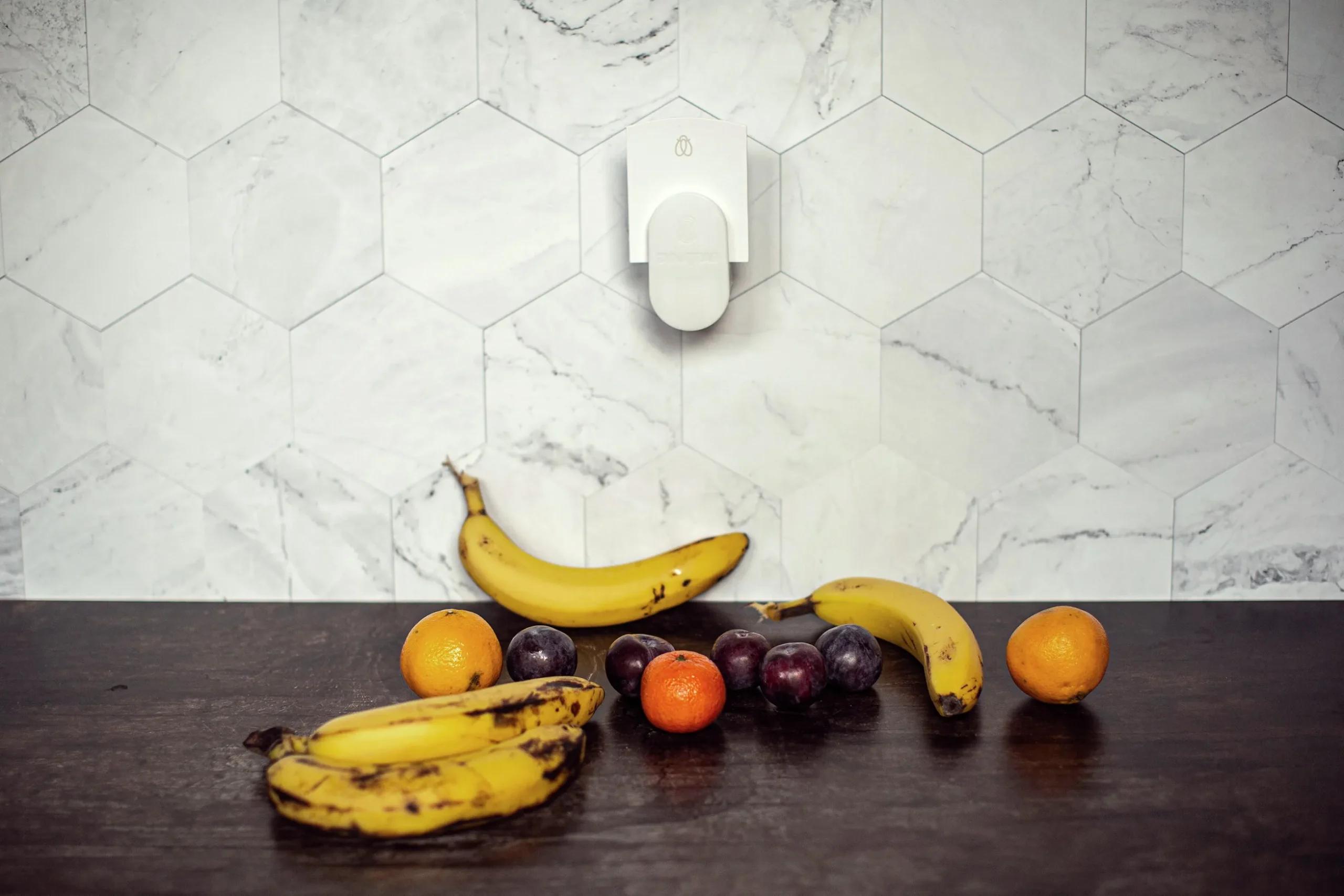 Insekts- och Bananflugefälla DynaTrap DOT