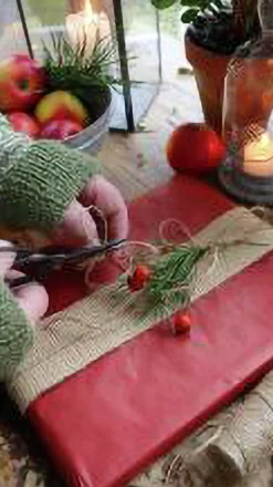 Jutesnöre Nelson Garden Natur 200m