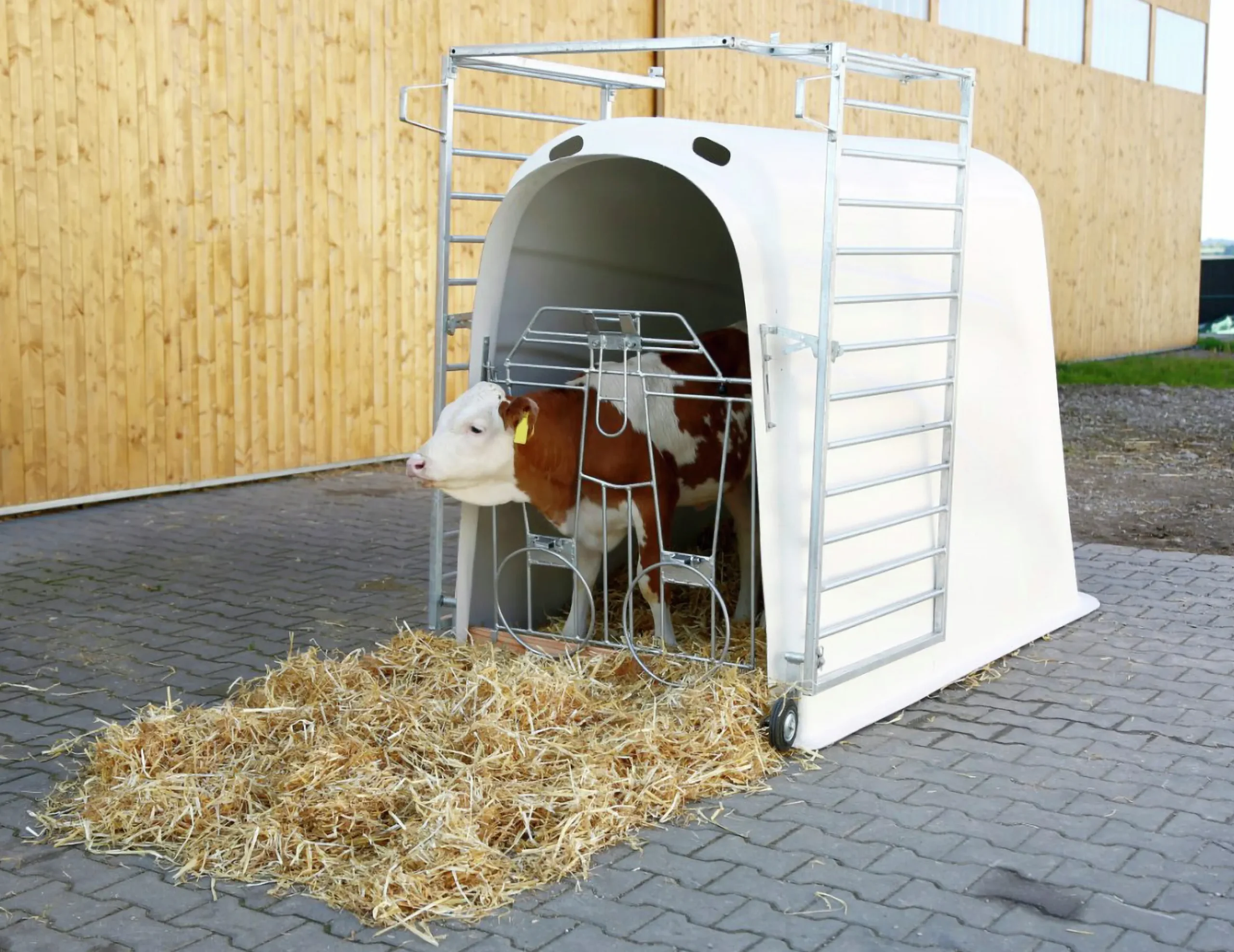 Kalvhydda Kerbl CalfHouse Master Plus utan förgård 200x115cm