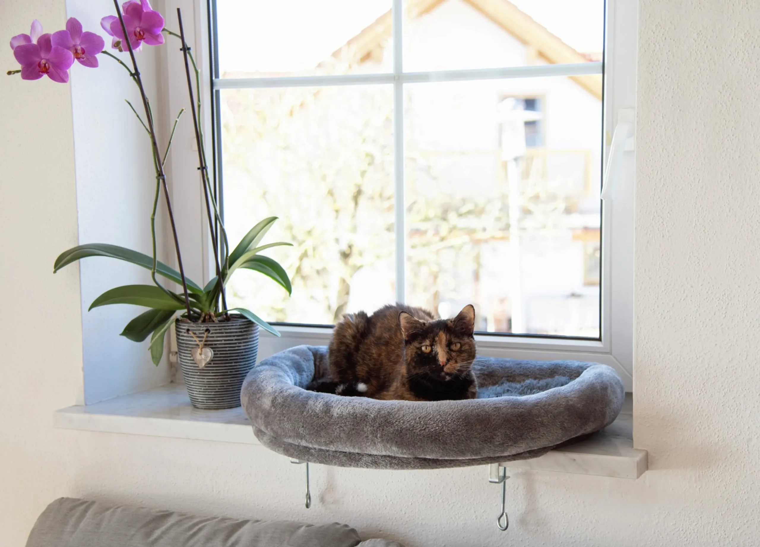 Kattbädd Kerbl Fönsterbädd Grå 55cm