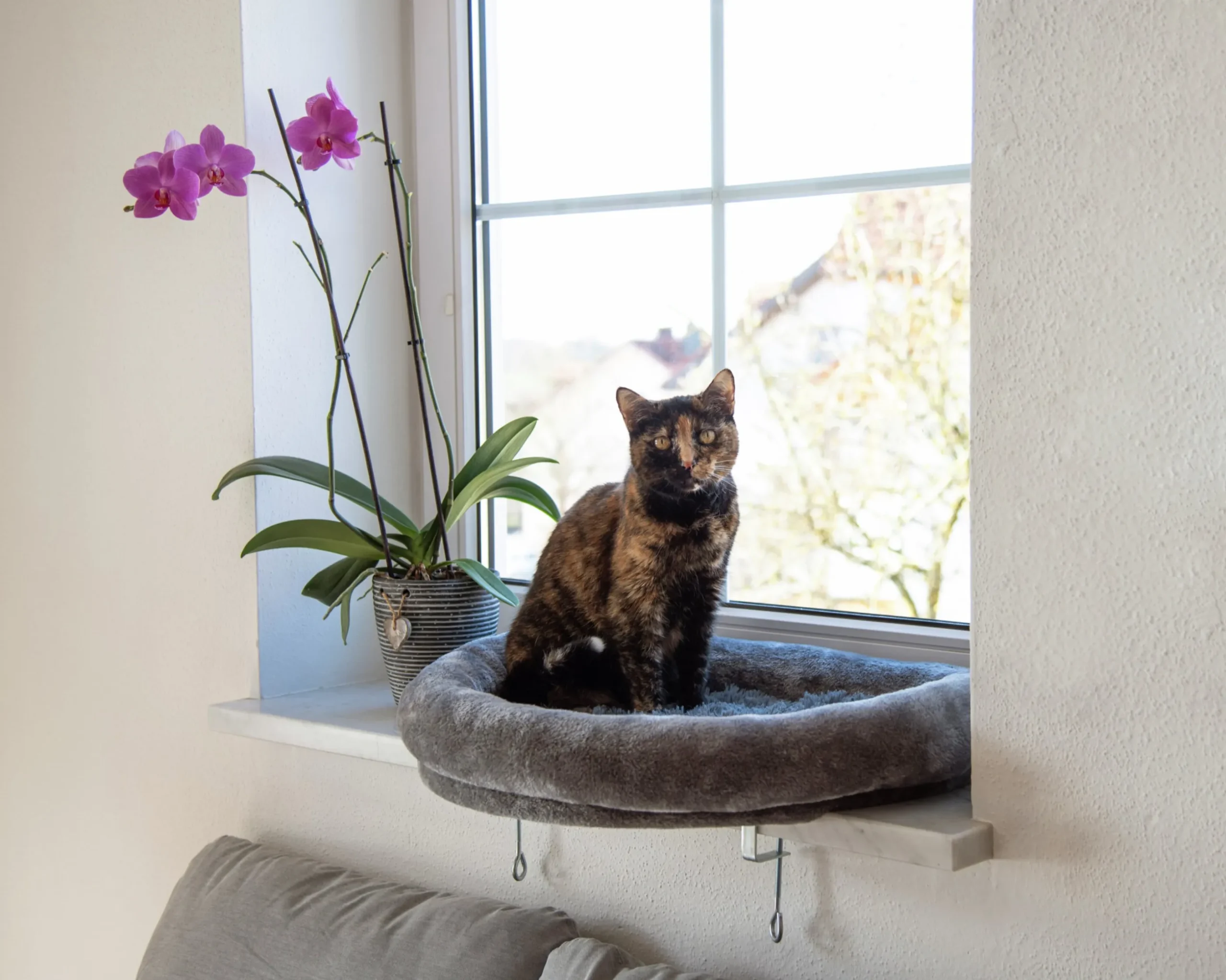 Kattbädd Kerbl Fönsterbädd Grå 55cm