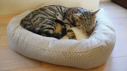 Kattbädd Rosewood Dotty Feline Vit/Grå 56cm