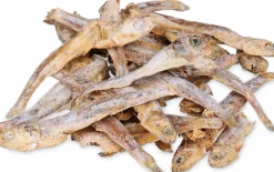 Kattgodis Trixie Torkad Fisk 50g