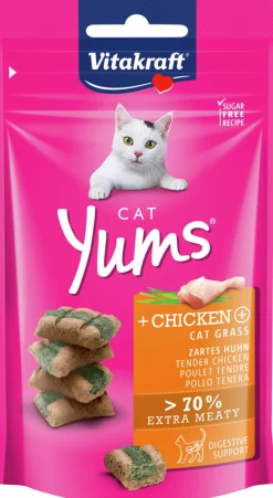 Kattgodis Vitakraft Cat Yums Fågel 40g