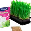 Kattgräs frön Vitakraft Refill 50g