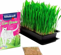 Kattgräs frön Vitakraft Refill 50g