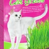 Kattgräs Vitakraft 120g