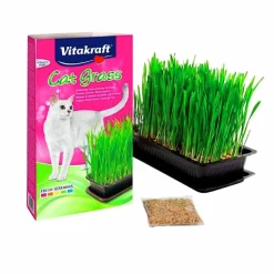 Kattgräs Vitakraft 120g