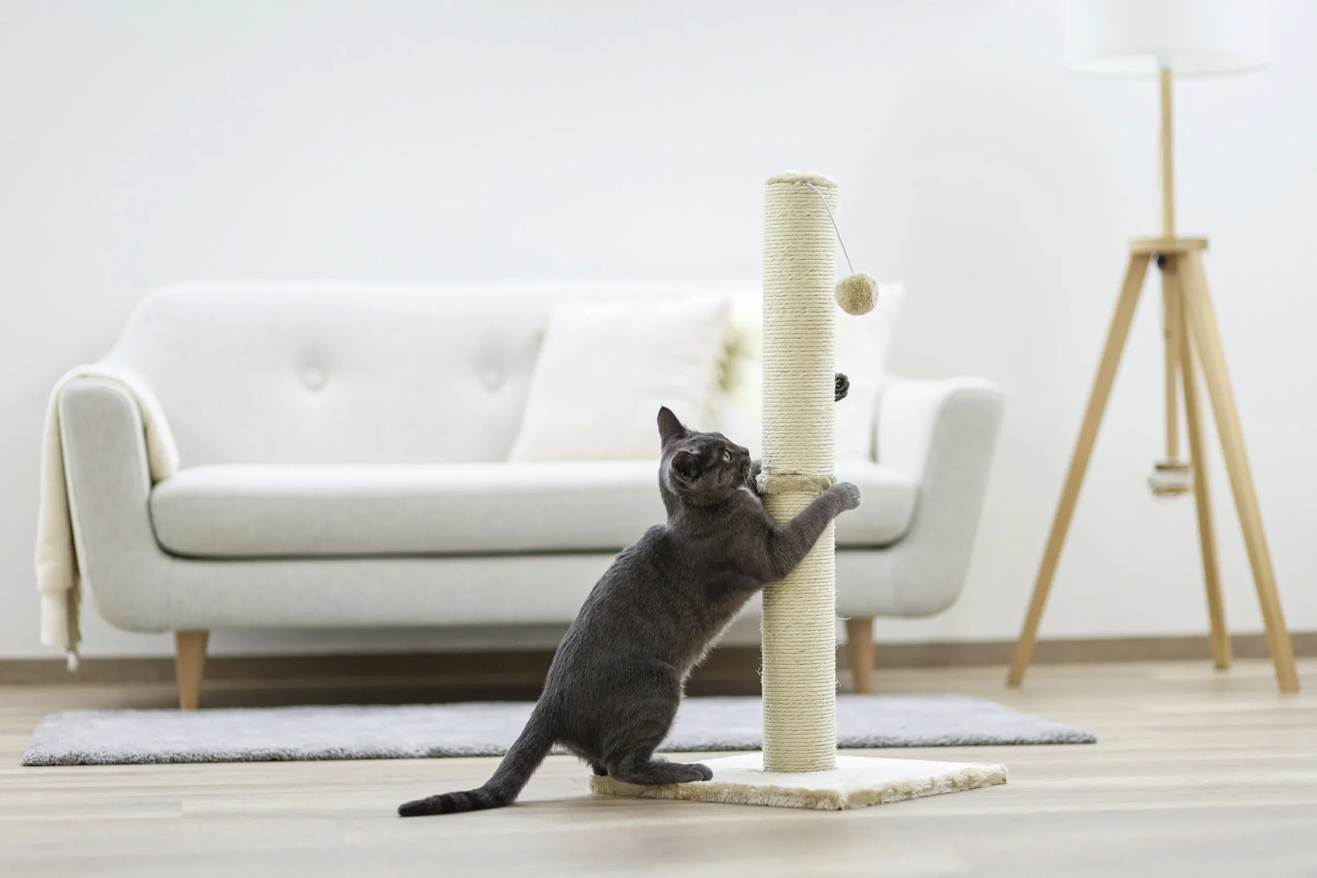 Kattklös Kerbl Opal Pelare Beige 78cm