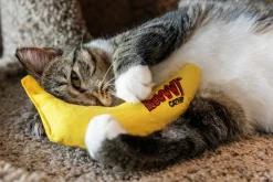 Kattleksak Rosewood Yeowww Catnip Banana