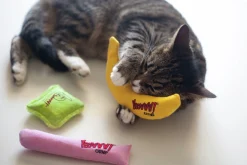 Kattleksak Rosewood Yeowww Catnip Banana