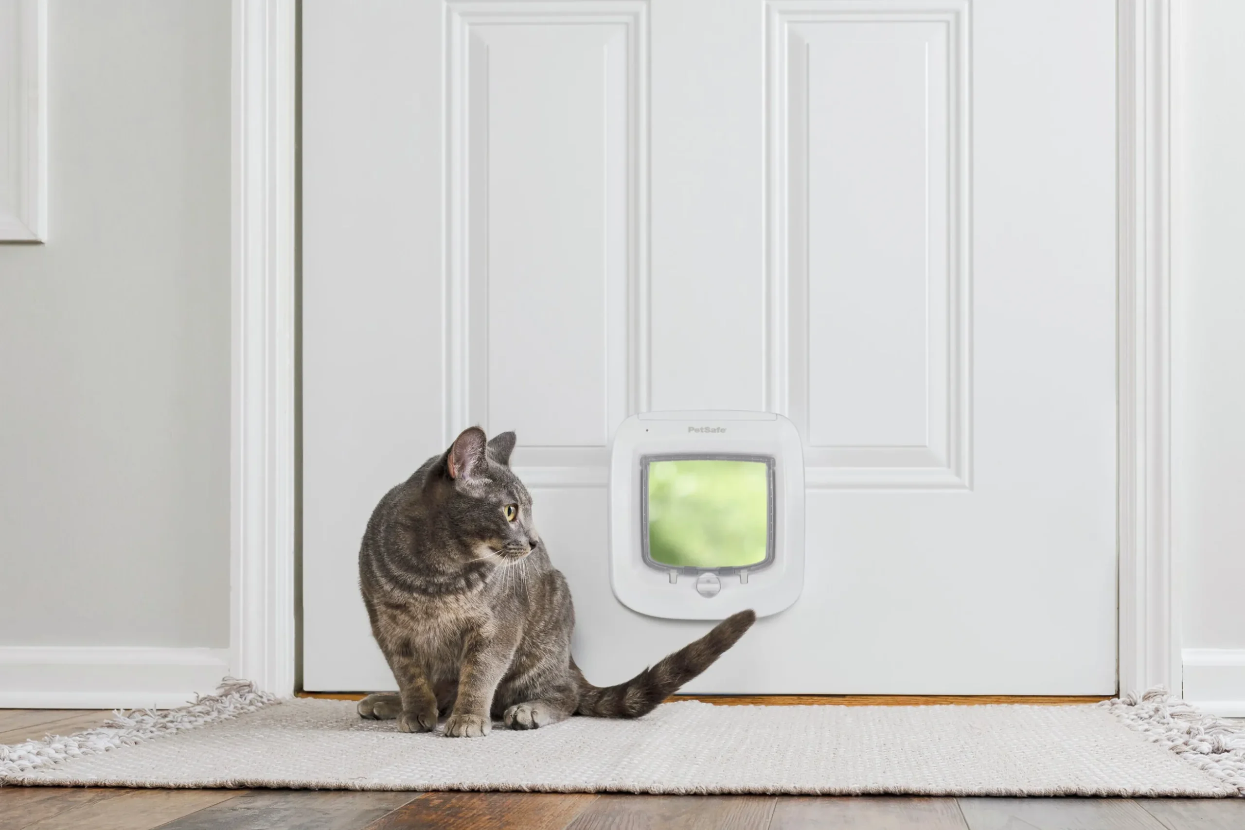 Kattlucka Petsafe Cat Microchip Vit