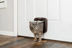 Kattlucka Petsafe Microchip Brun