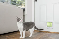 Kattlucka Petsafe 919 4-väg Vit
