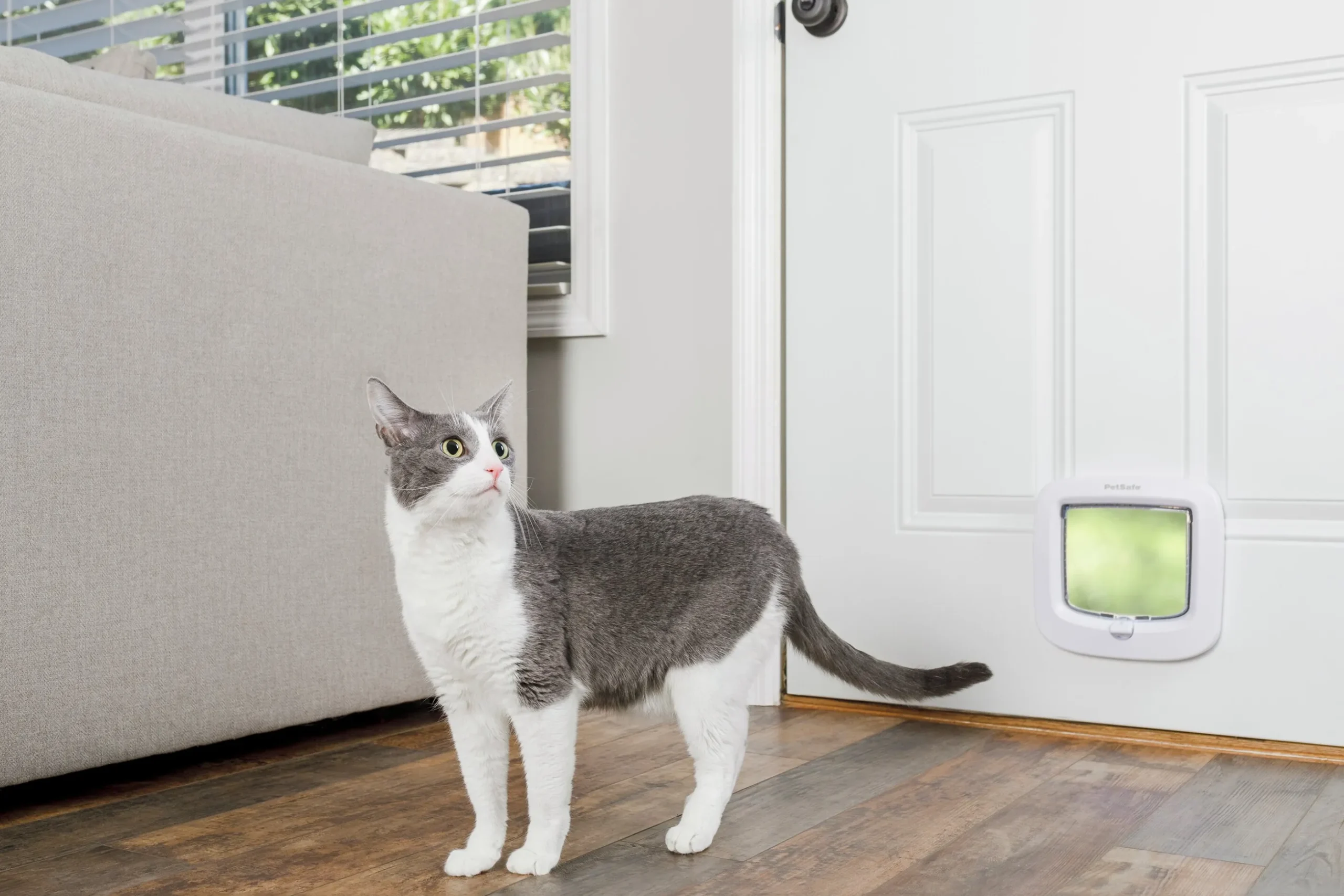 Kattlucka Petsafe 919 4-väg Vit