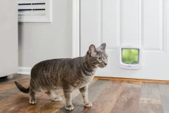 Kattlucka Petsafe 919 4-väg Vit