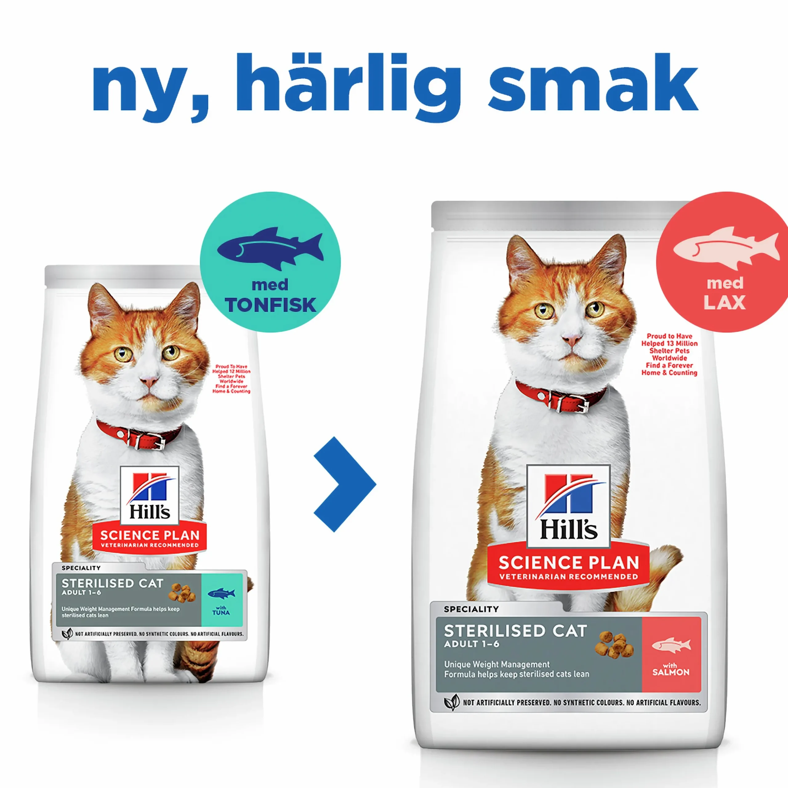 Kattmat Hills Science Plan Adult Sterilised Salmon 10kg