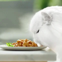 Kattmat Purina Gourmet Perle Delight Menybox i sås 8x85g