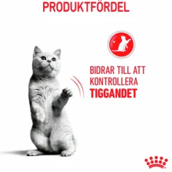 Kattmat Royal Canin Adult Appetite Control 10kg