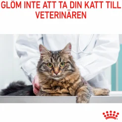 Kattmat Royal Canin Adult Hairball 2kg