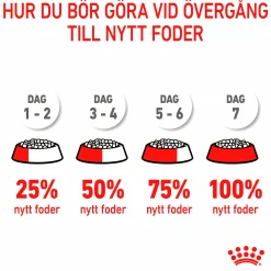 Kattmat Royal Canin Adult Hairball 2kg