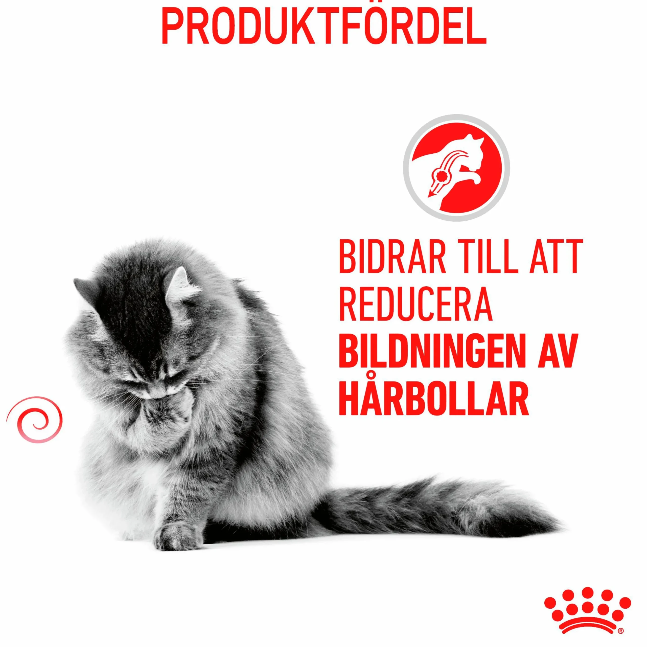 Kattmat Royal Canin Adult Hairball 2kg
