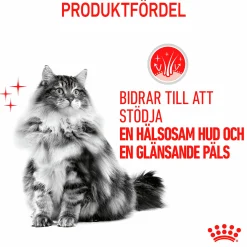 Kattmat Royal Canin Adult Hair & Skin Pouches Gravy Bitar i sås 12x85g