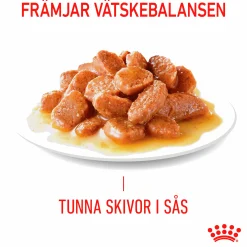 Kattmat Royal Canin Adult Hair & Skin Pouches Gravy Bitar i sås 12x85g