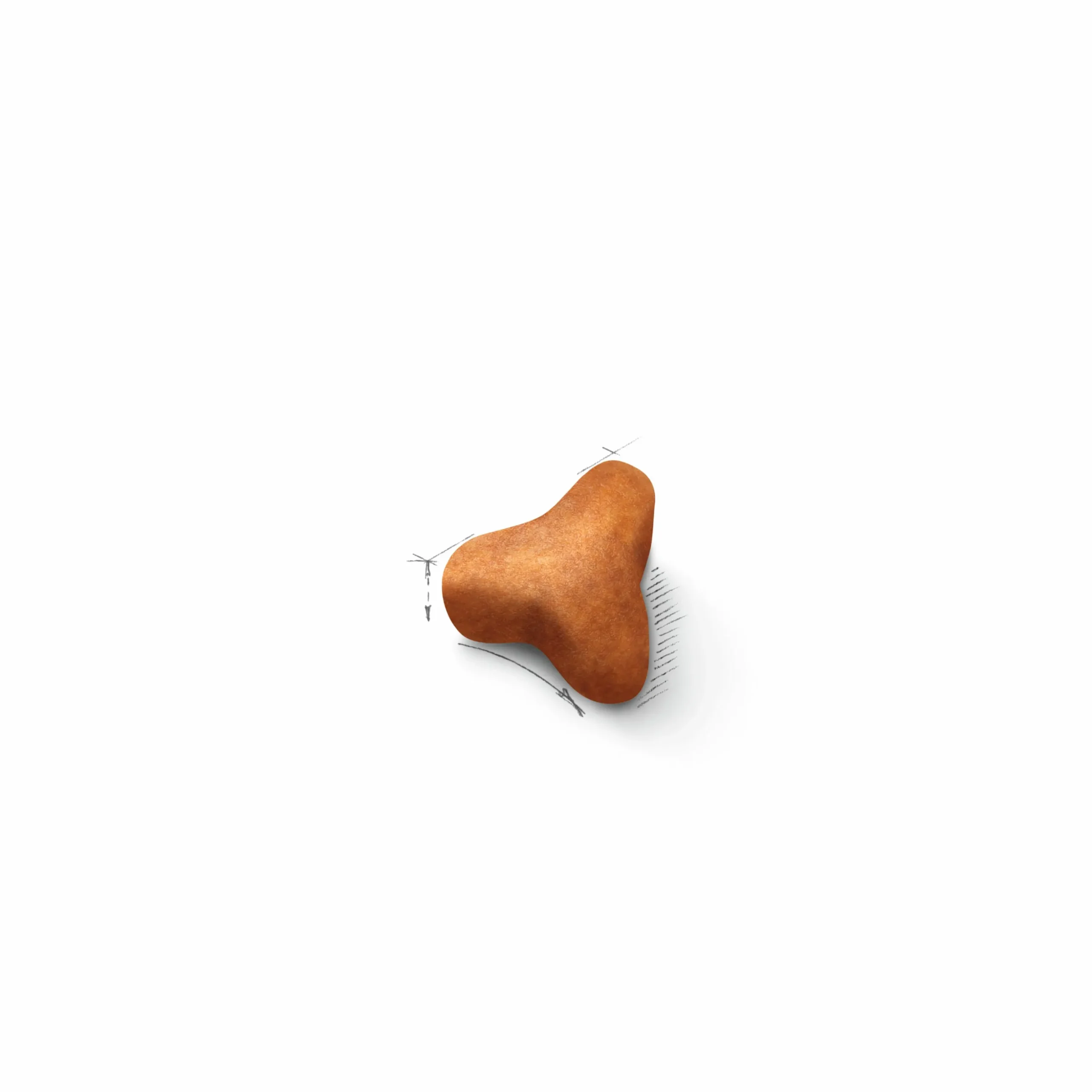 Kattmat Royal Canin Adult Norweigian Forest Cat 10kg
