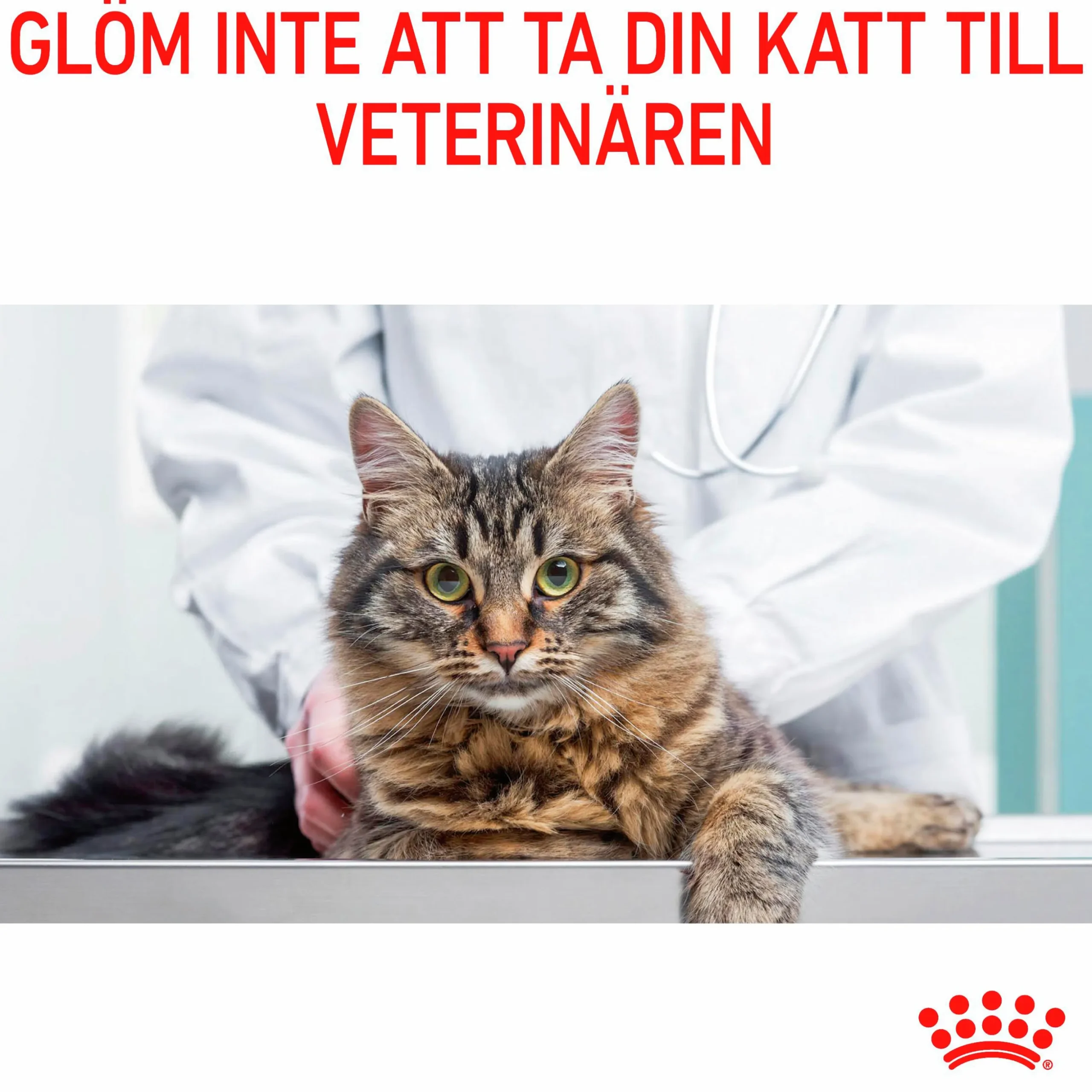 Kattmat Royal Canin Adult Urinary Care Pouches Gravy Bitar i sås 12x85g