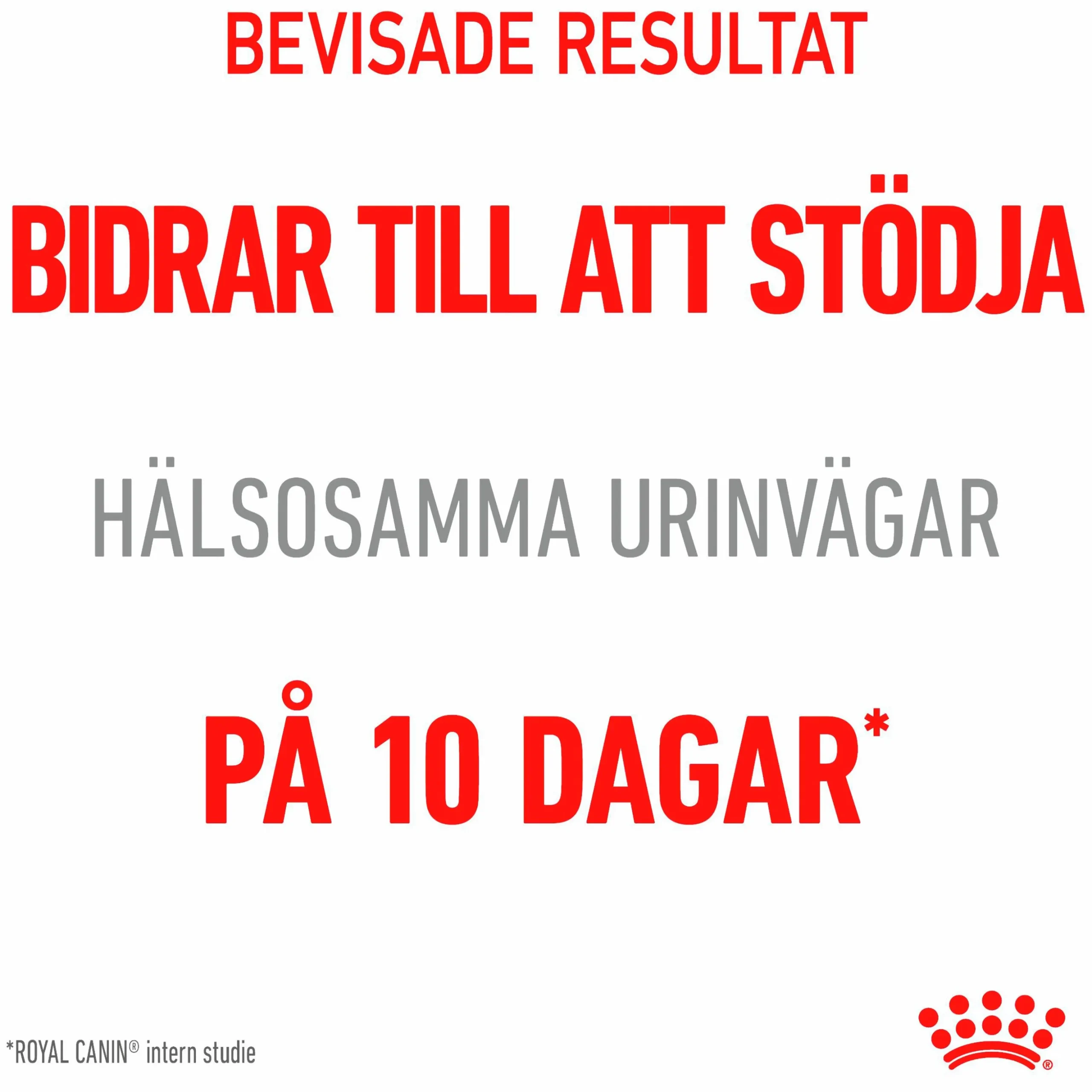 Kattmat Royal Canin Adult Urinary Care Pouches Gravy Bitar i sås 12x85g