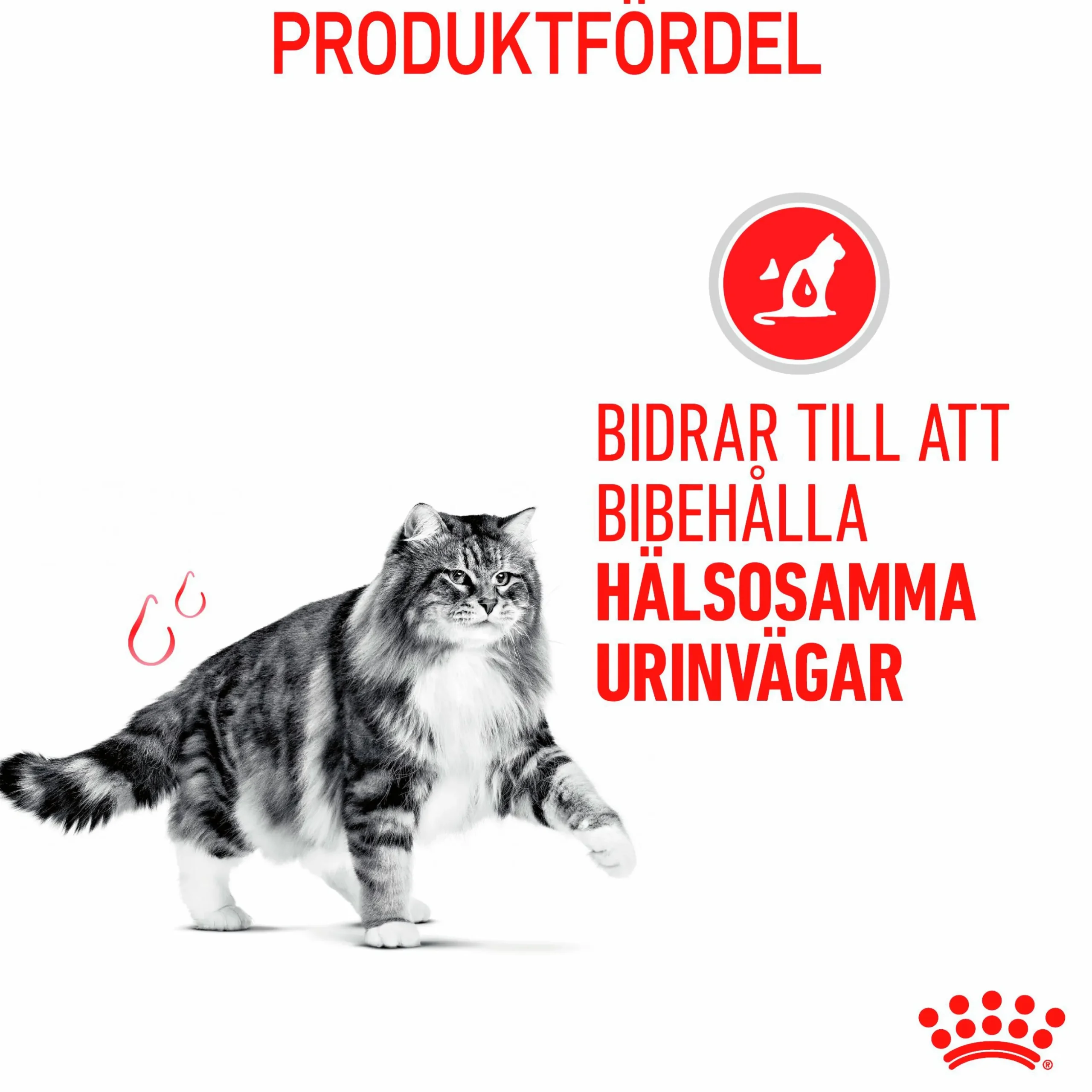 Kattmat Royal Canin Adult Urinary Care Pouches Gravy Bitar i sås 12x85g