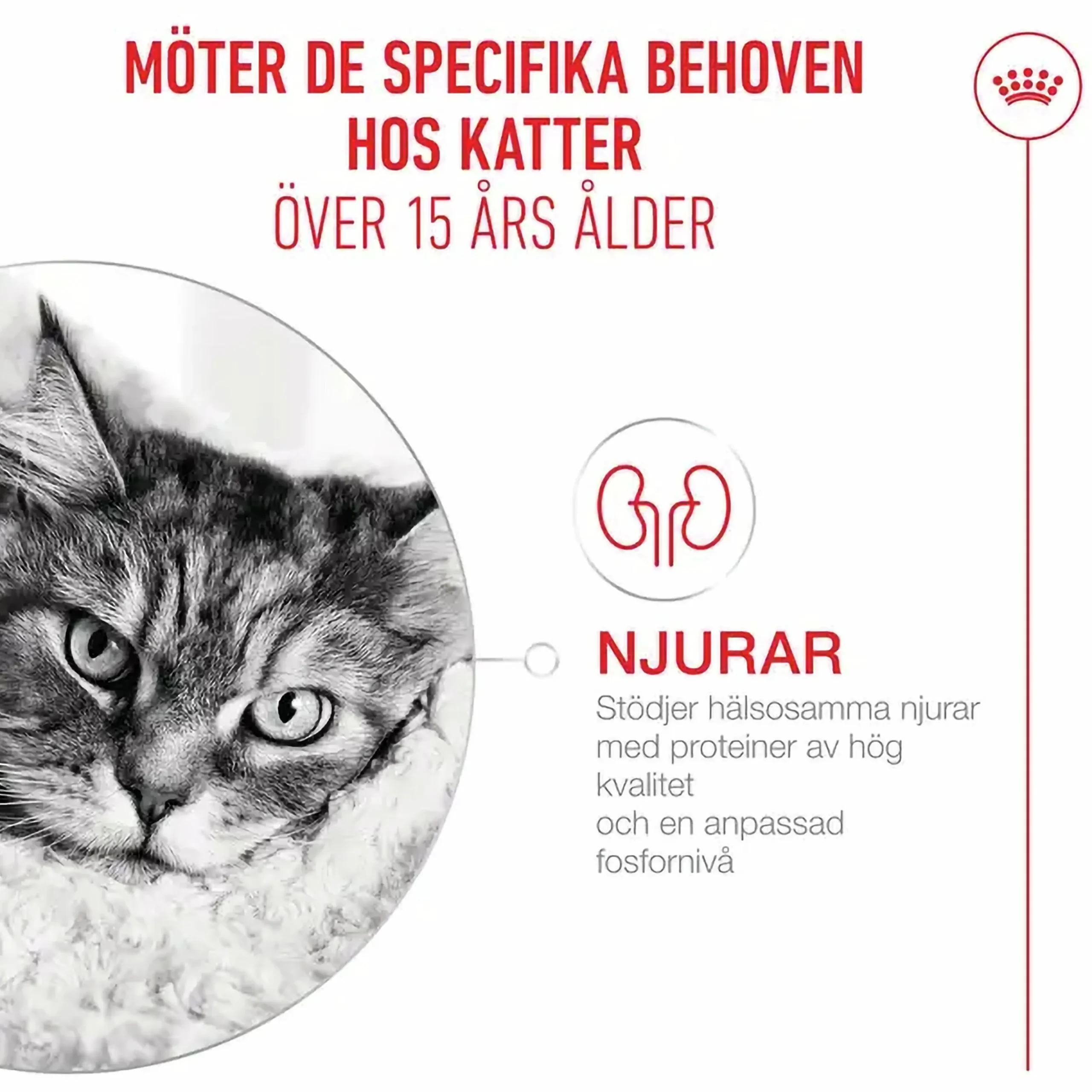 Kattmat Royal Canin Agening 15+ 2kg