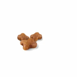 Kattmat Royal Canin Kitten 10kg
