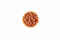 Kattmat Royal Canin Kitten Pouches Gravy Bitar i sås 12x85g