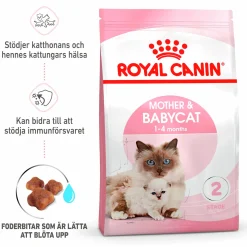 Kattmat Royal Canin Mother & Babycat 2kg