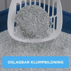 Kattsand Ever Clean Lavendel 10L