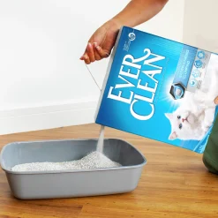 Kattsand Ever Clean Unscented Extra Strong Clumping 10L