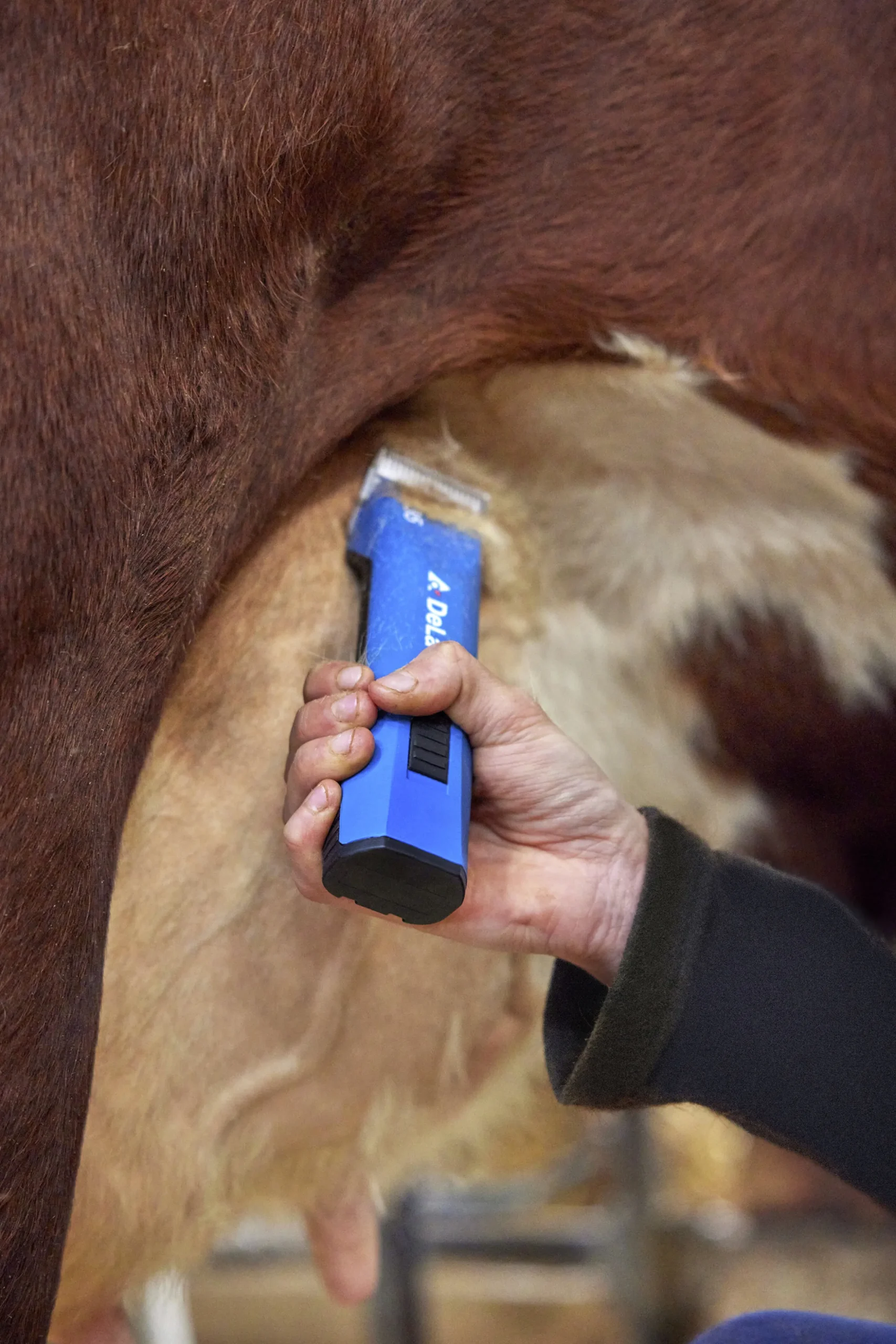 Klippmaskin DeLaval CB35 häst/husdjur