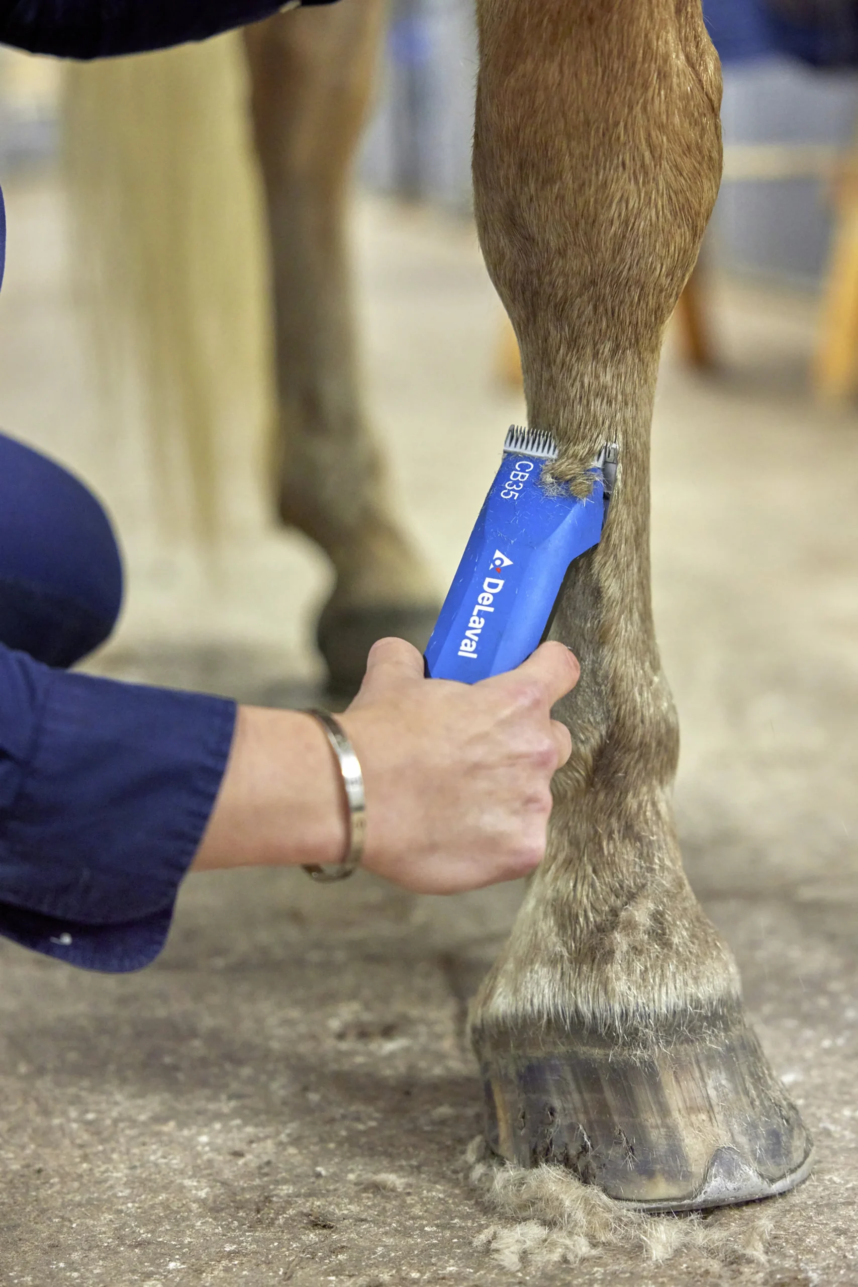 Klippmaskin DeLaval CB35 häst/husdjur