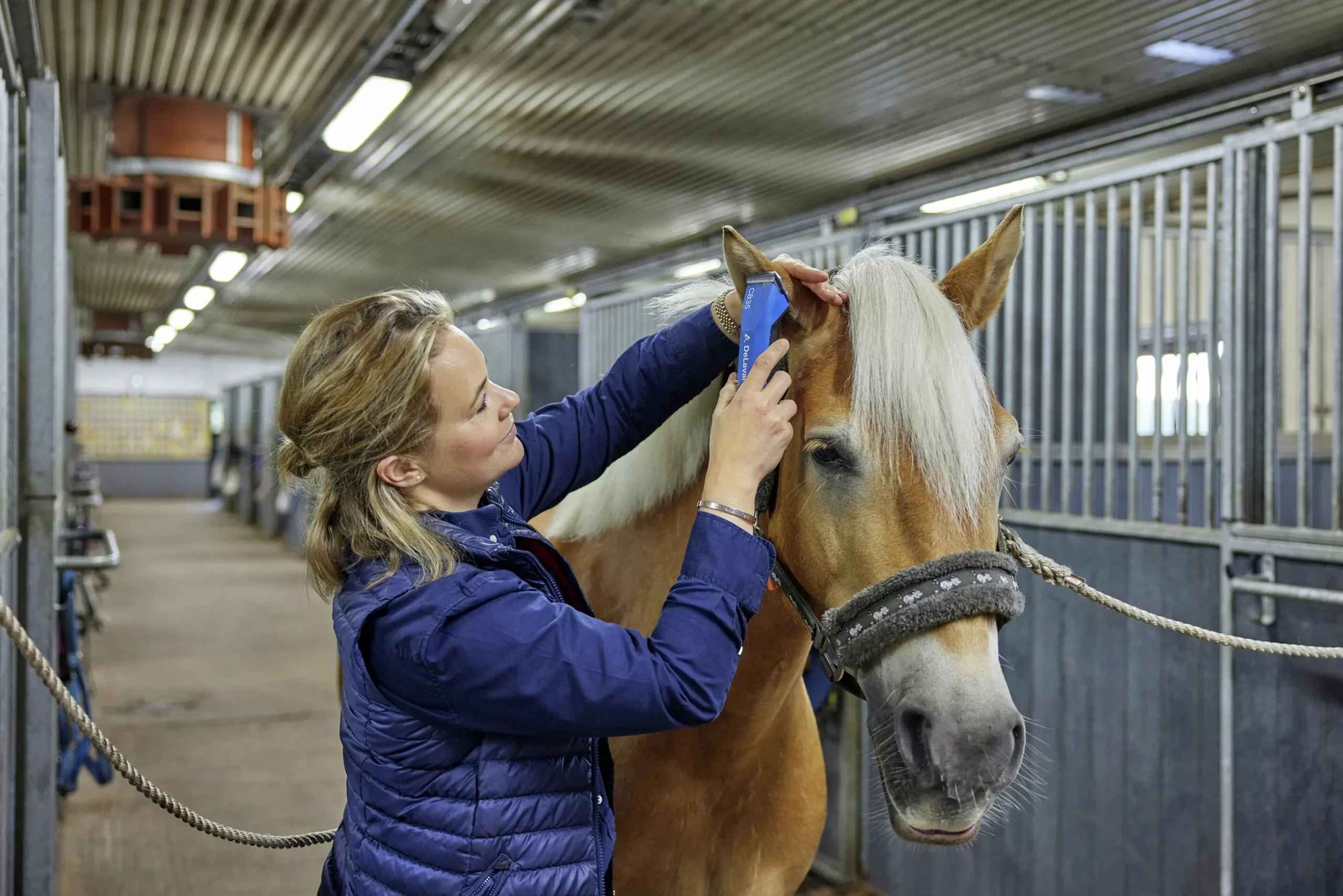 Klippmaskin DeLaval CB35 häst/husdjur