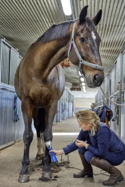 Klippmaskin DeLaval C250 nöt/häst
