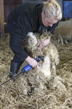 Klippmaskin DeLaval S250 får/nöt