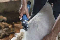 Klippmaskin Kerbl Farmclipper Akku2 får med 2 batterier