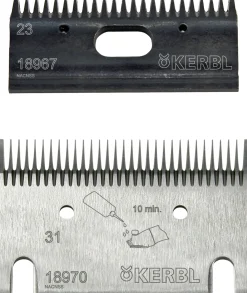 Klippskär Kerbl 31/23 fint häst