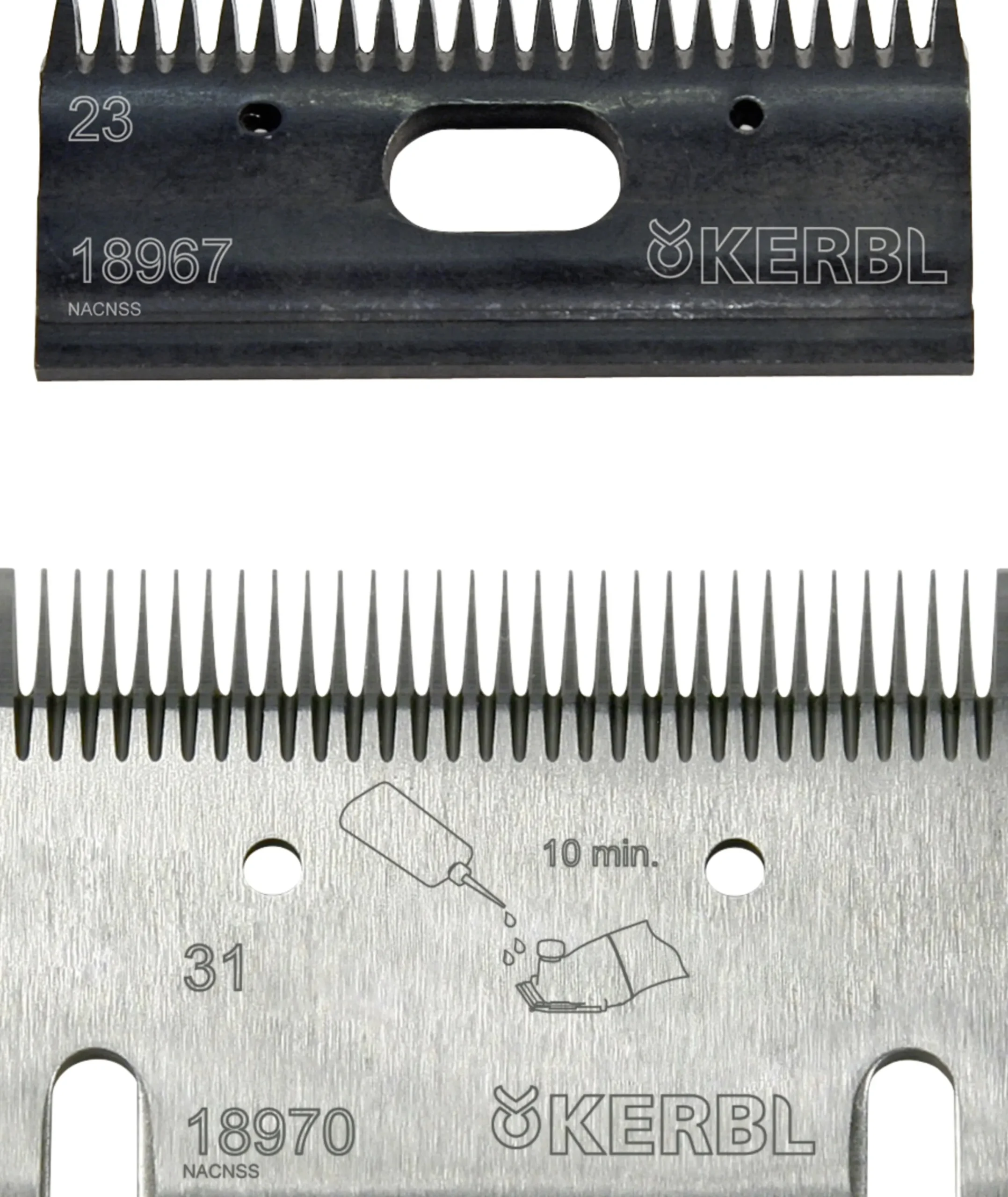 Klippskär Kerbl 31/23 fint häst