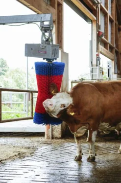 Koborste Kerbl HappyCow Maxiswing