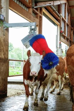 Koborste Kerbl HappyCow Maxiswing