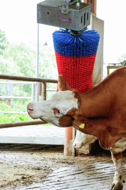 Koborste Kerbl HappyCow Maxiswing