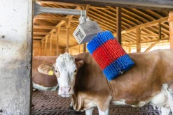 Koborste Kerbl HappyCow Midiswing